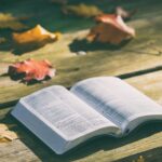 As melhores Bíblias de estudo para entender a Palavra de Deus hoje